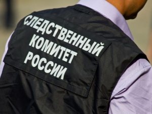 Председатель СК России затребовал доклад о ходе расследования уголовного дела по факту совершения противоправных действий в отношении несовершеннолетних в Нижегородской области